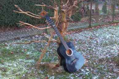 Schwarze Gitarre lehnt am Baum